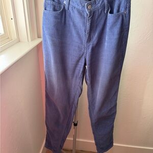 BDG Blue Corduroy Straight Leg Jeans